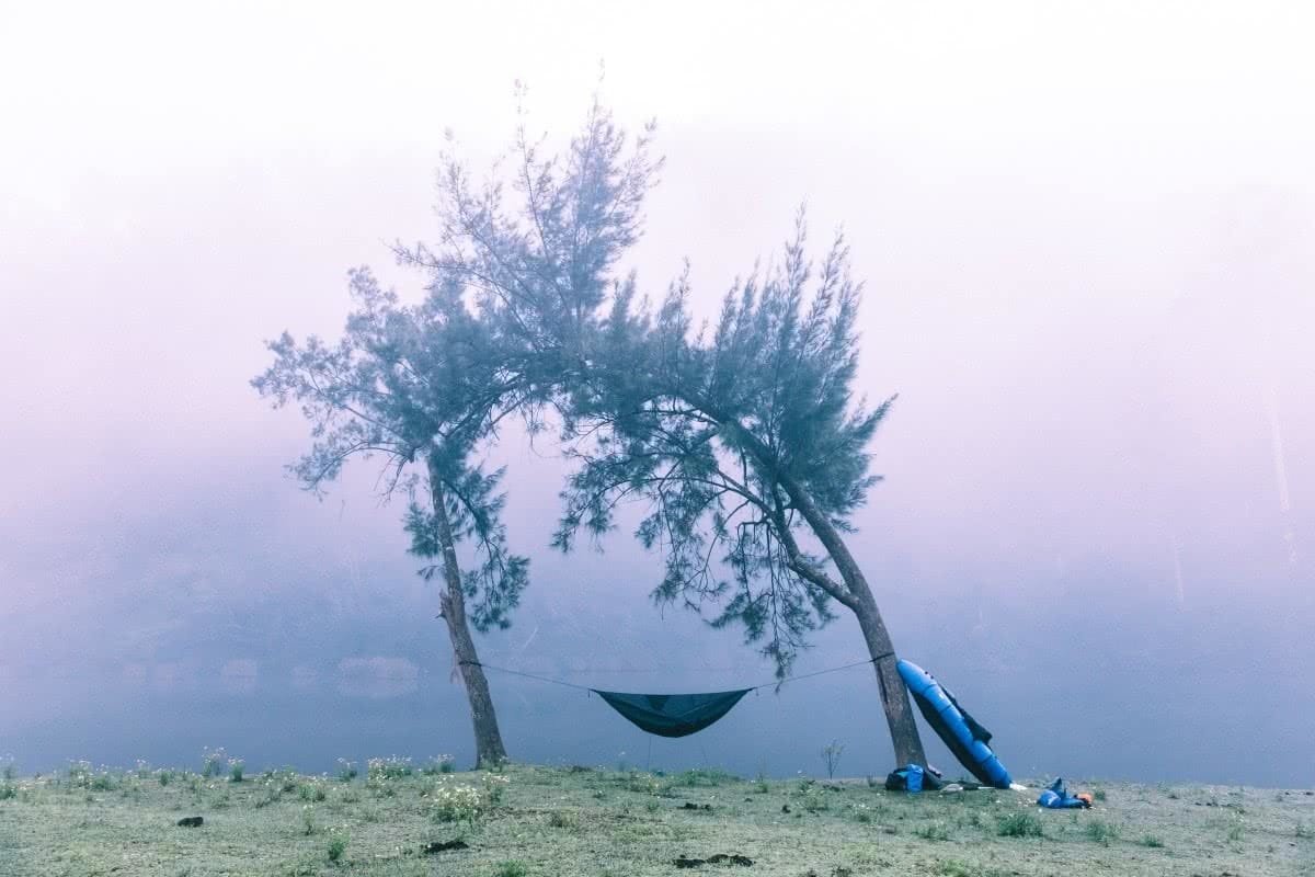 hammock, trees, mist, river, boat, camp, Henry Brydon
