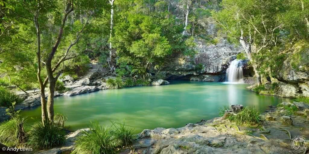 10 brisbane wild swimming adventures qld rachel lewis andy lewis kondalilla falls, waterfall, trees, swimming hole, waterhole