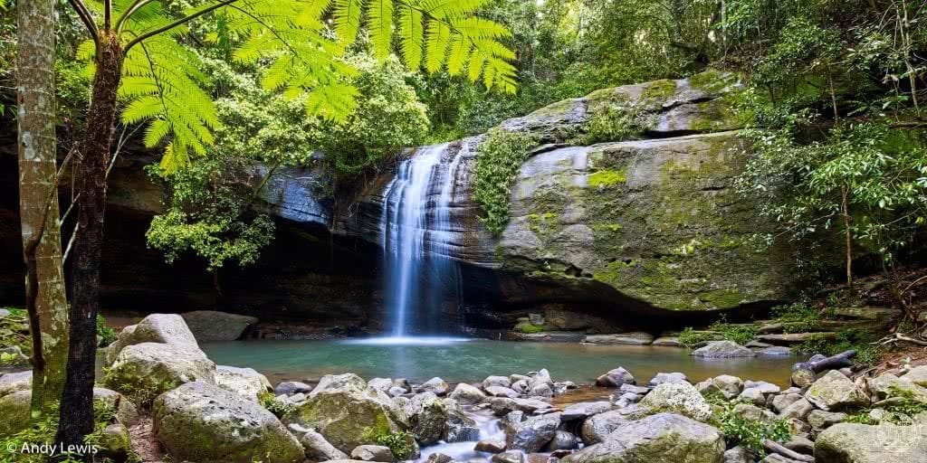 10 wild swimming adventures near brisbane qld rachel lewis andy lewis serenity falls, waterfall, swimming hole, rocks, ferns