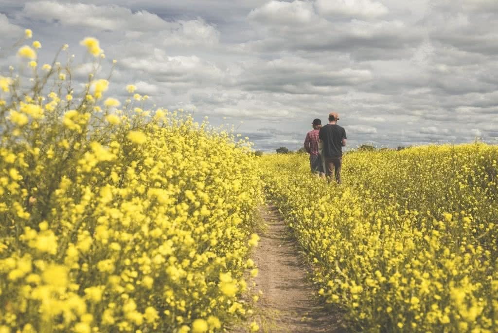 An Epic Outback Weekend Road Trip to Cunnamulla (NSW) Michael Harris canola clouds