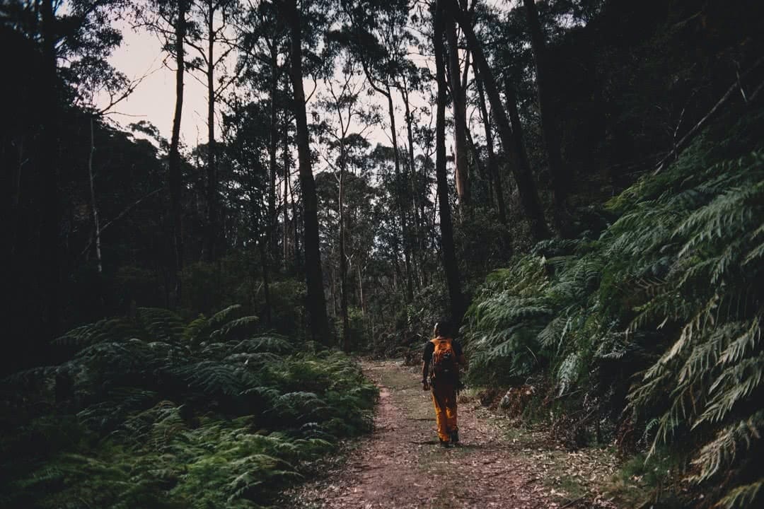 Rhys Tattersall Newnes Wollemi National Park NSW