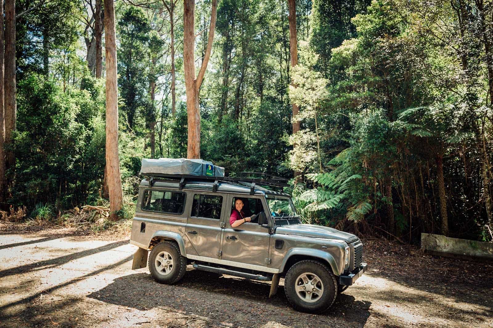 Off-Road Adventures in Oxley Wild Rivers National Park (NSW) Kate Miles 4wd forest dirt road