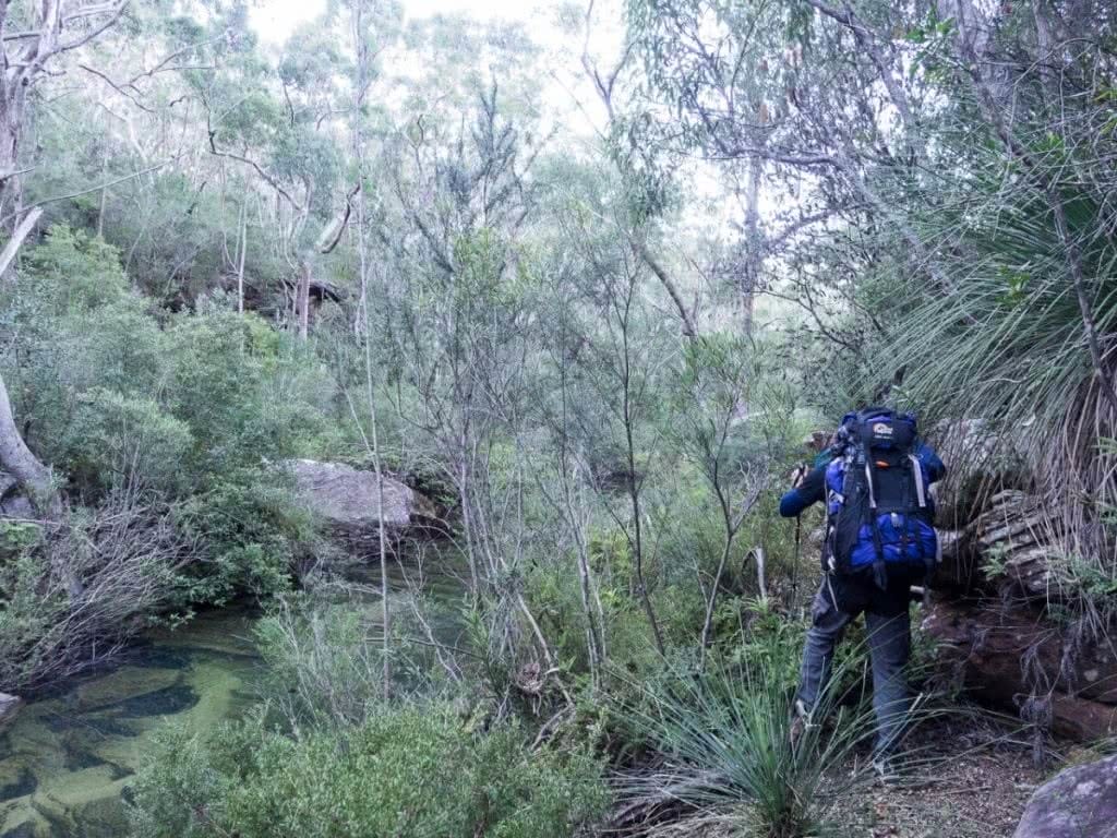 Off Track in the Royal National Park (NSW) James Stuart trail hike