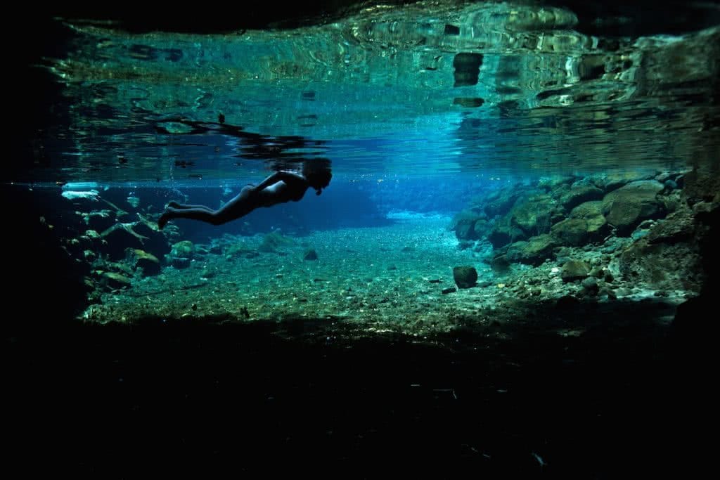 spearfishing jessie cripps