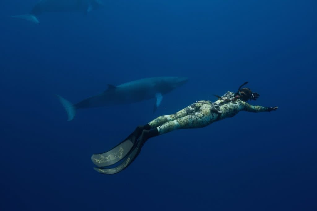 spearfishing jessie cripps