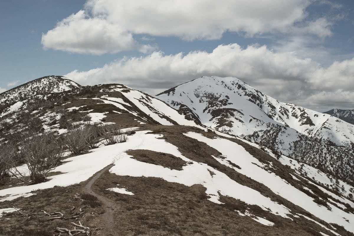 Traversing the Razorback // Alpine National Park (VIC), Mitchell Hodge, mountains, ridge, snow-capped, sky