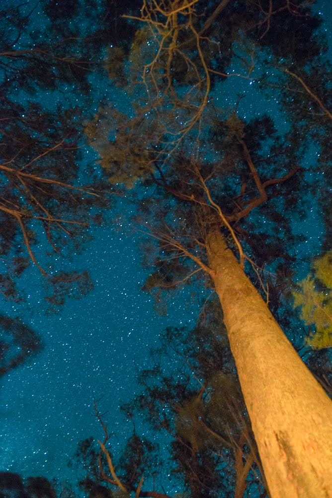 Go West! // Bald Rock and Girraween (NSW) Yasmin Maher campfire-stars