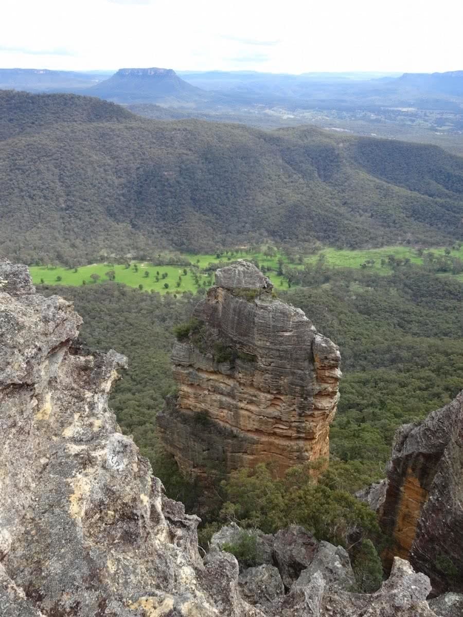 Mt Dawson From The Wolgan Valley (NSW) Melissa Hamblin Biggs, rock tower, trees, forest, cliffs