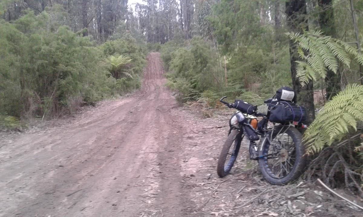 Fat Weekender // The Great Forest National Park (VIC) Aidan Kempster, fat bike, packs, road, dirt, ferns, bikepacking