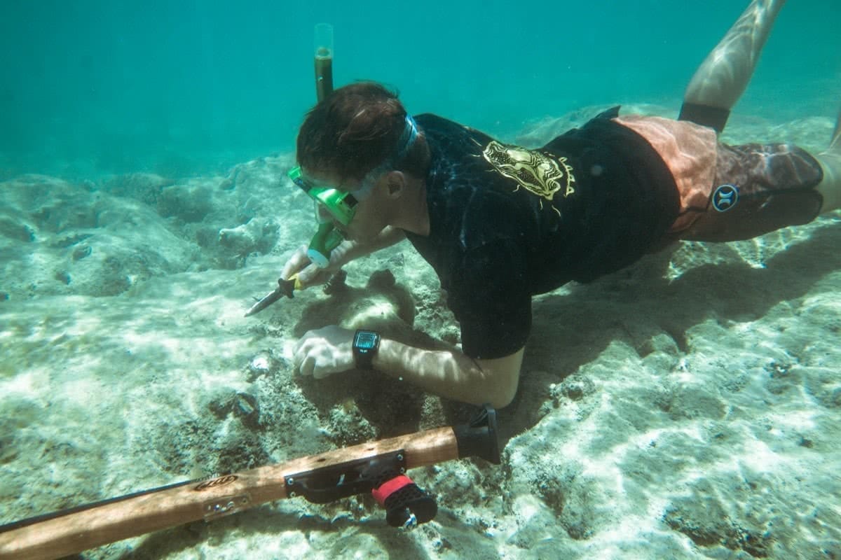 Scout Hinchliffe Keswick Island whitsundays qld castaways kayaking snorkeling spearfishing