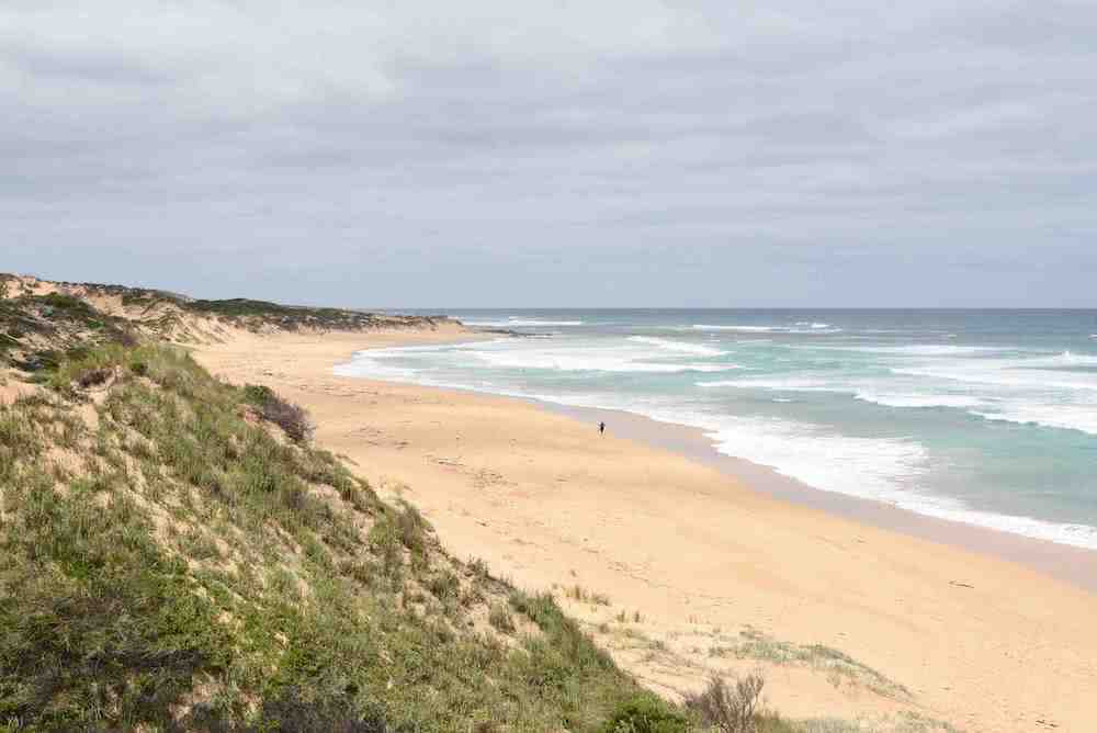 Long Walks on the Beach // Mahogany Walk (VIC) Mahogany Walk jean baulch
