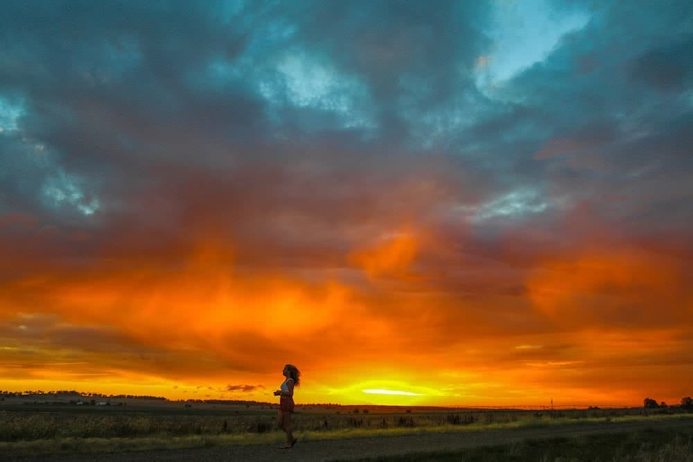 queensland sunflower fields forever scout hinchcliffe, sunset, orange, yellow, girl, woman, road