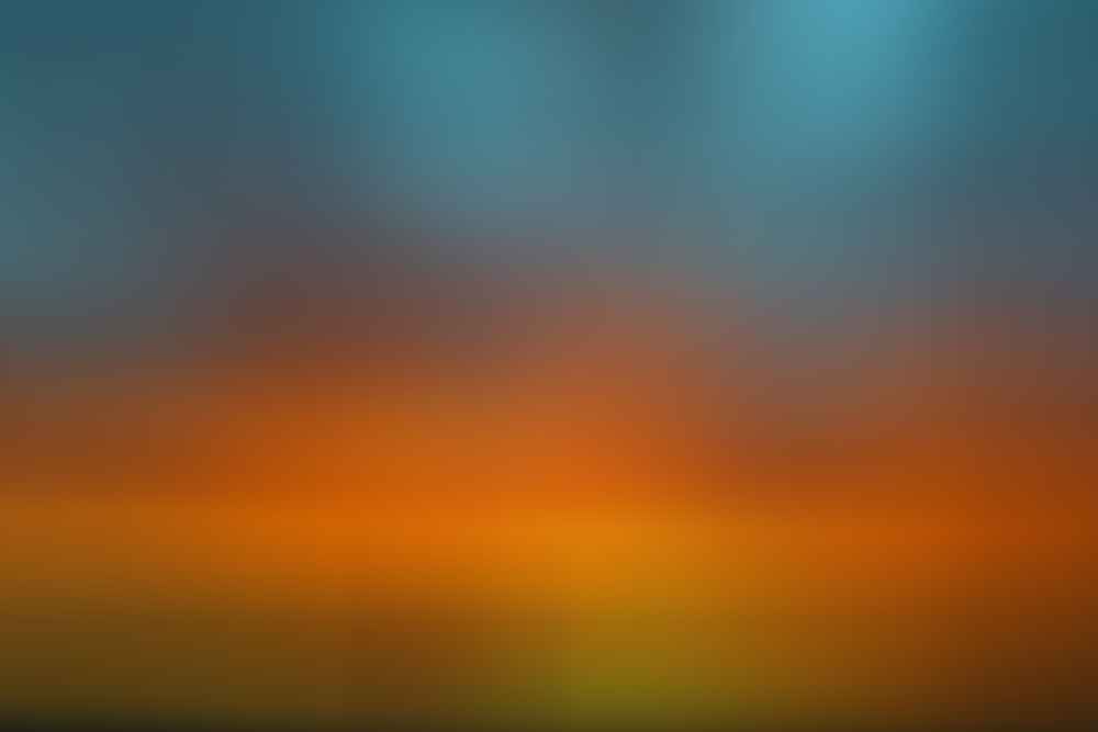 queensland sunflower fields forever scout hinchcliffe, sunset, orange, yellow, girl, woman, road