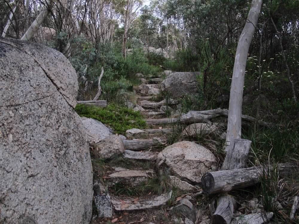 Square Rock // Namadgi National Park (ACT), Shea-Cara Hammond, stone steps, boulder, trees, going up