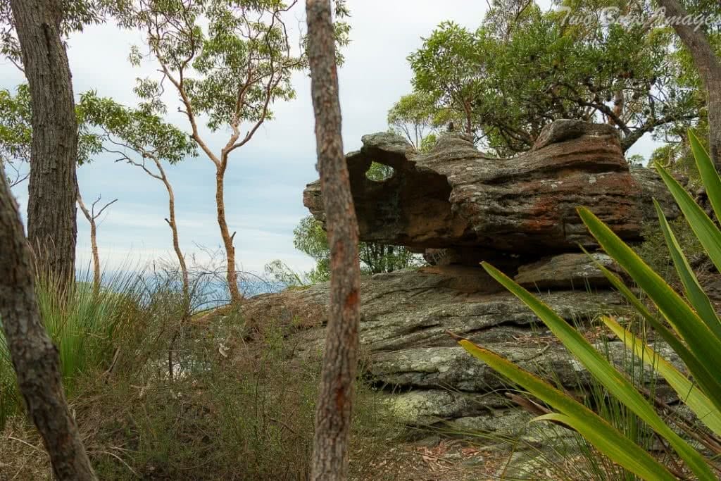 Melissa Bowyer Mt Mitchell View Inside the Rock Hiking Near Stanwell Park Hole in Rock Mt Mitchell