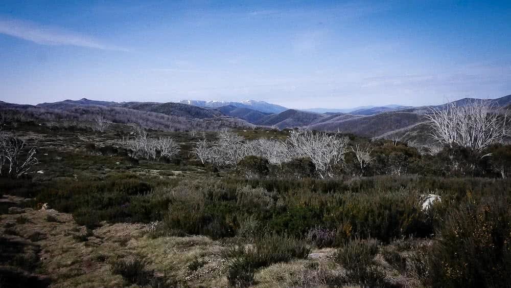 jorja creighton hunt 1000