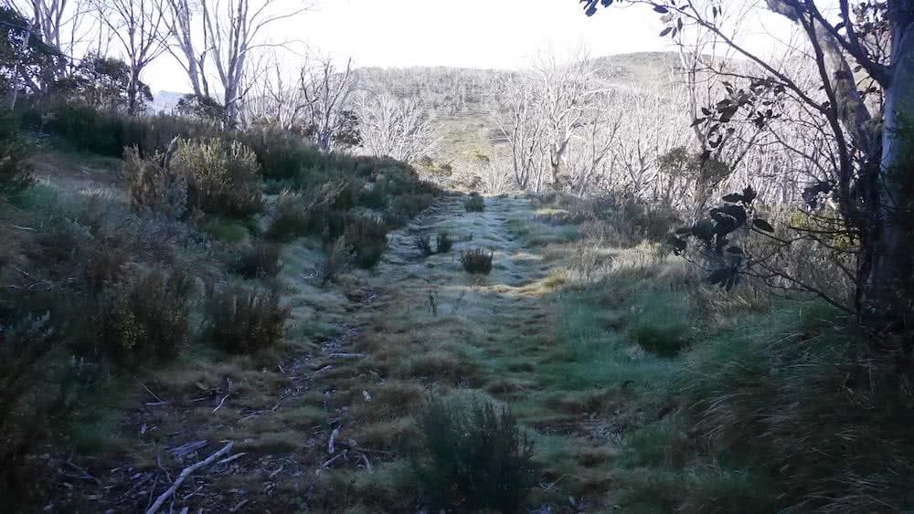 jorja creighton hunt 1000