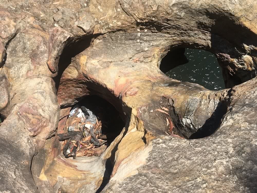 tim ashelford rubbish