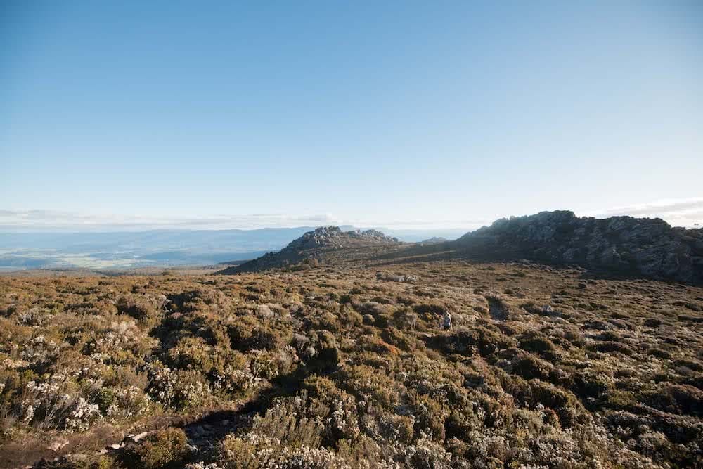 Cradle Mountain Side Trips // Mt Roland (TAS) Morgan Cardiff mt roland tasmania view mountain