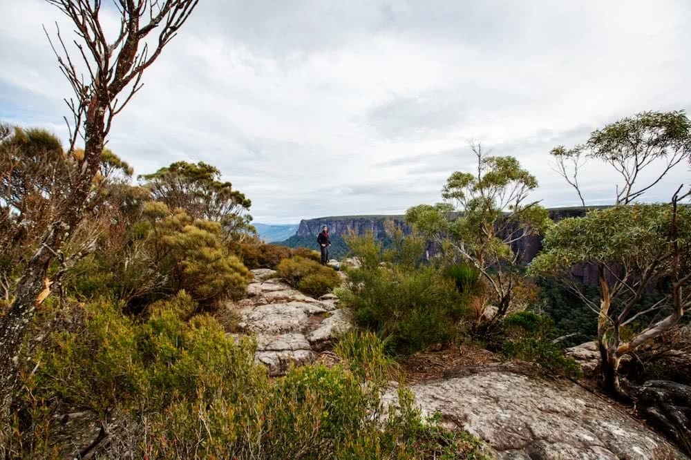 Bushwhacked in the Budawangs (NSW) daniel bos cliff path hike