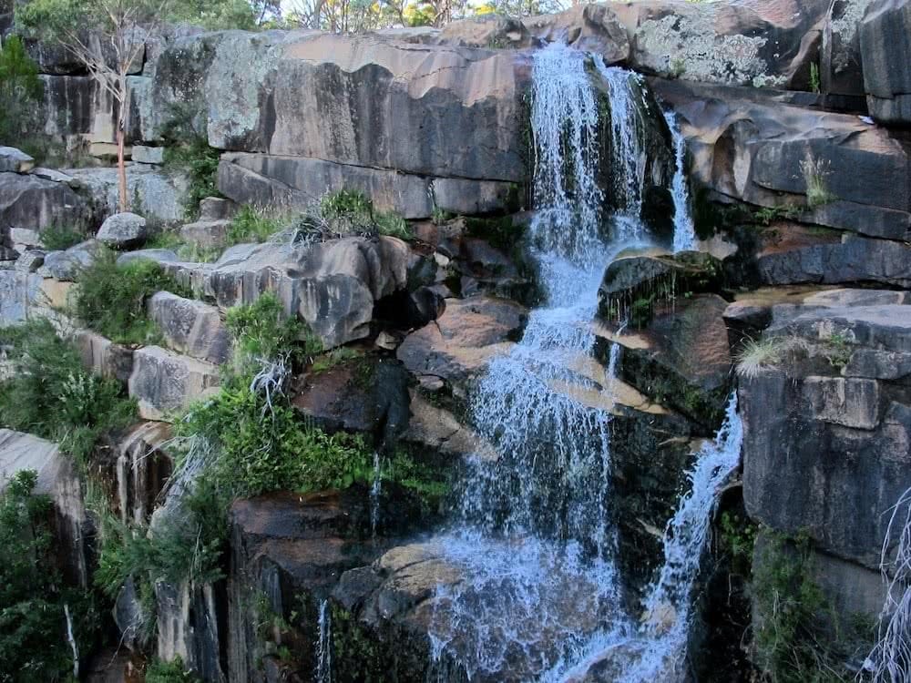 Shea-Cara Canberra water