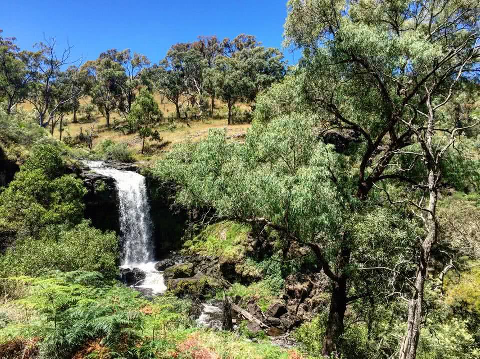 Snowy Mountain’s Best Kept Secret // Paddys River Falls (NSW) Tiffany Hulm waterfall bush