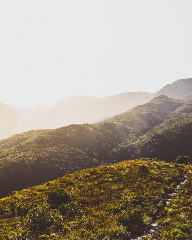 The Wild Southwest // Mount Eliza (TAS) Mt Eliza jack sutton tasmania mountain forest, trail