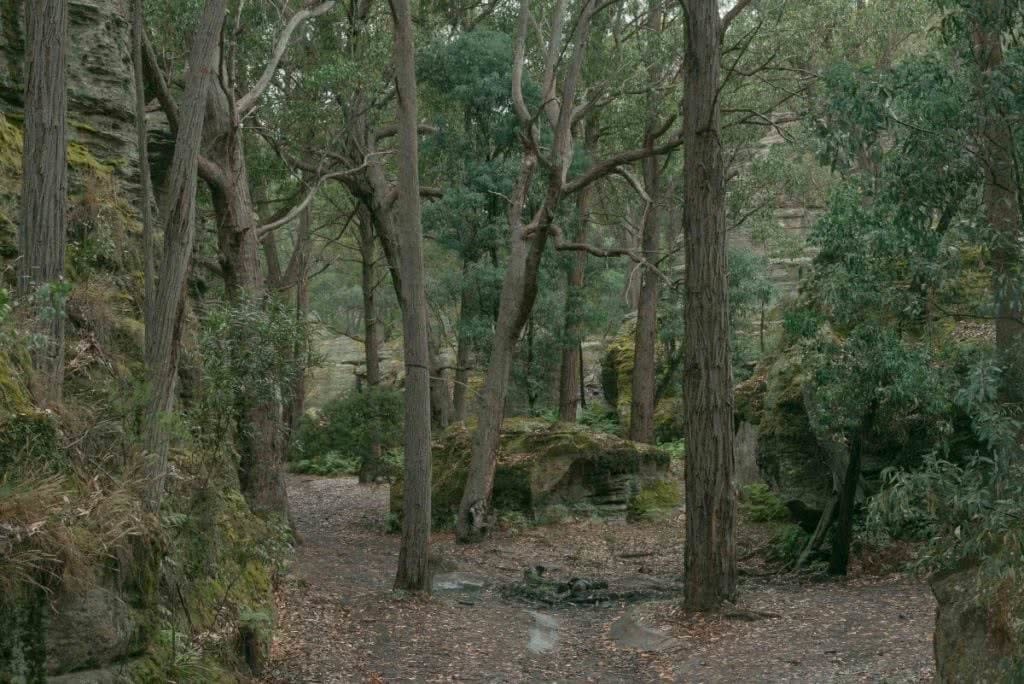 MERRIDY CAIRN-DUFF Maiyingu Marragu aboriginal reserve