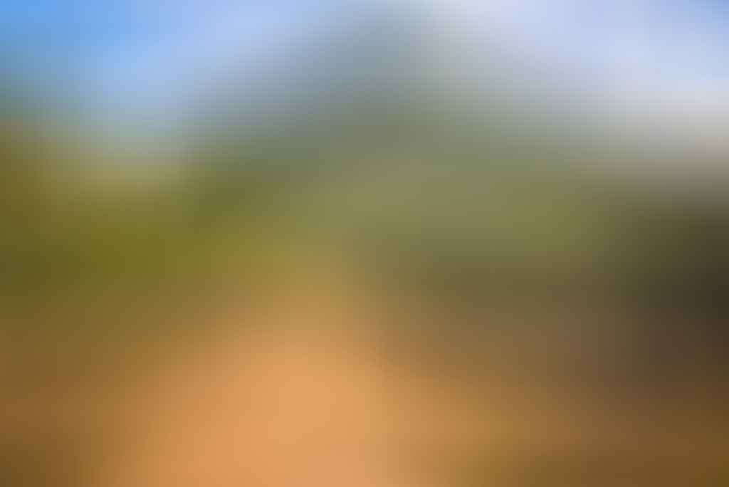 Hike to Camel’s Hump // Tidbinbilla NR (ACT), Lisa Owen, peak, trail, dirt road, bushes