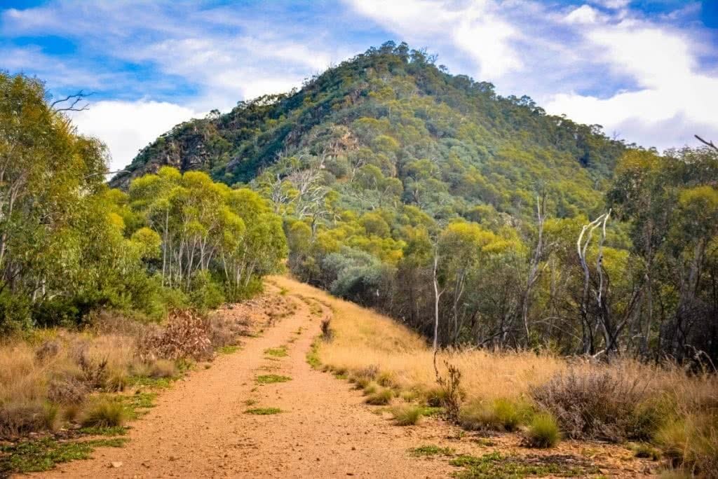 Hike to Camel’s Hump // Tidbinbilla NR (ACT), Lisa Owen, peak, trail, dirt road, bushes