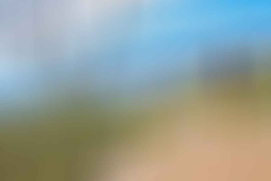 Hike to Camel’s Hump // Tidbinbilla NR (ACT), Lisa Owen, hiker, woman, tree, view, lookout, sky, ridge