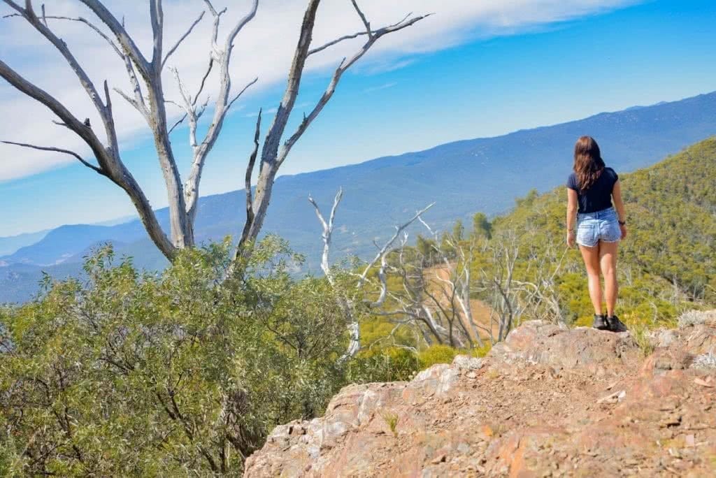 Hike to Camel’s Hump // Tidbinbilla NR (ACT), Lisa Owen, hiker, woman, tree, view, lookout, sky, ridge
