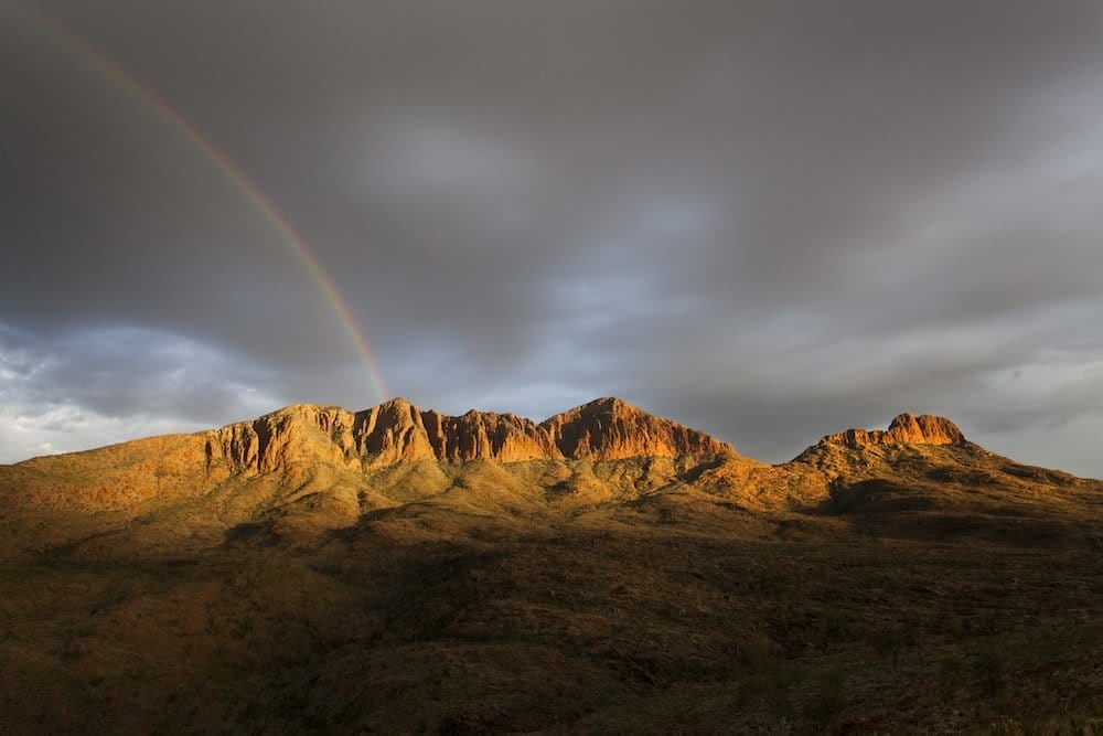 Joel Johnsson larapinta