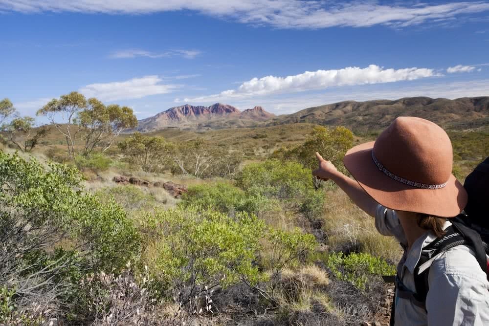 Joel Johnsson larapinta