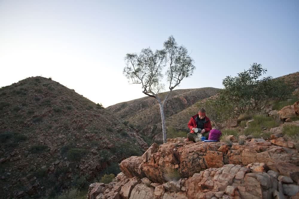 Joel Johnsson larapinta