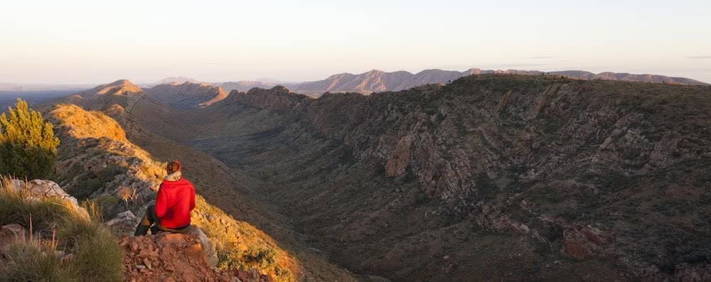 Joel Johnsson larapinta