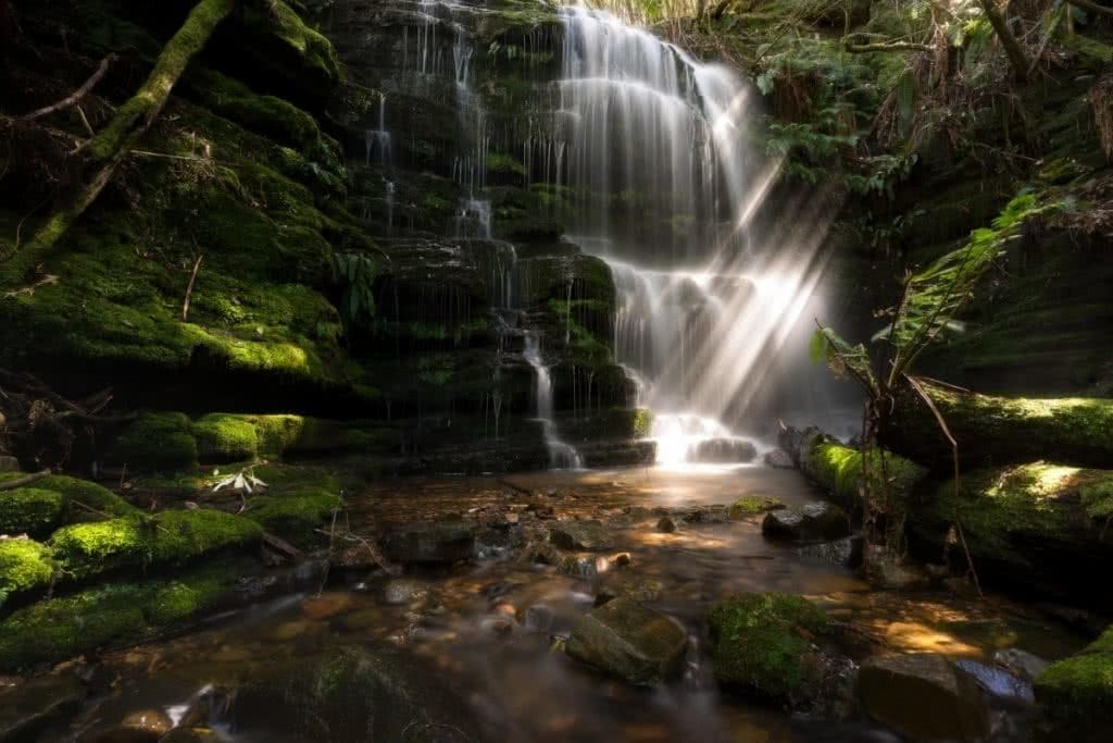 Myrtle Gully Falls (1 of 1) tasmanian waterfalls