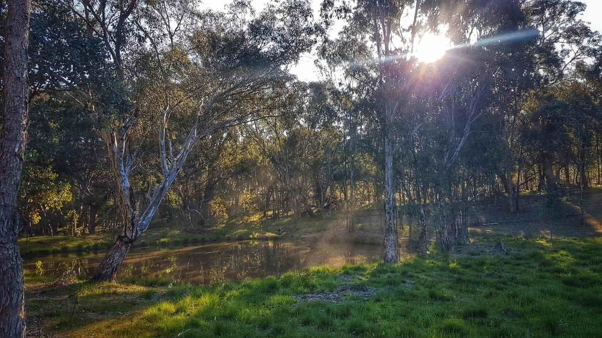 Ellimatta Camping, King Valley, Victoria