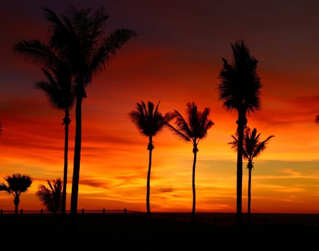 The Pearl of the North West // Broome (WA), Zoe Vaughan, sunset, palm trees, red sky, clouds, silhouettes