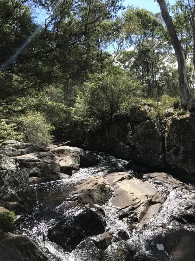 Polblue Falls - Barrington Tops