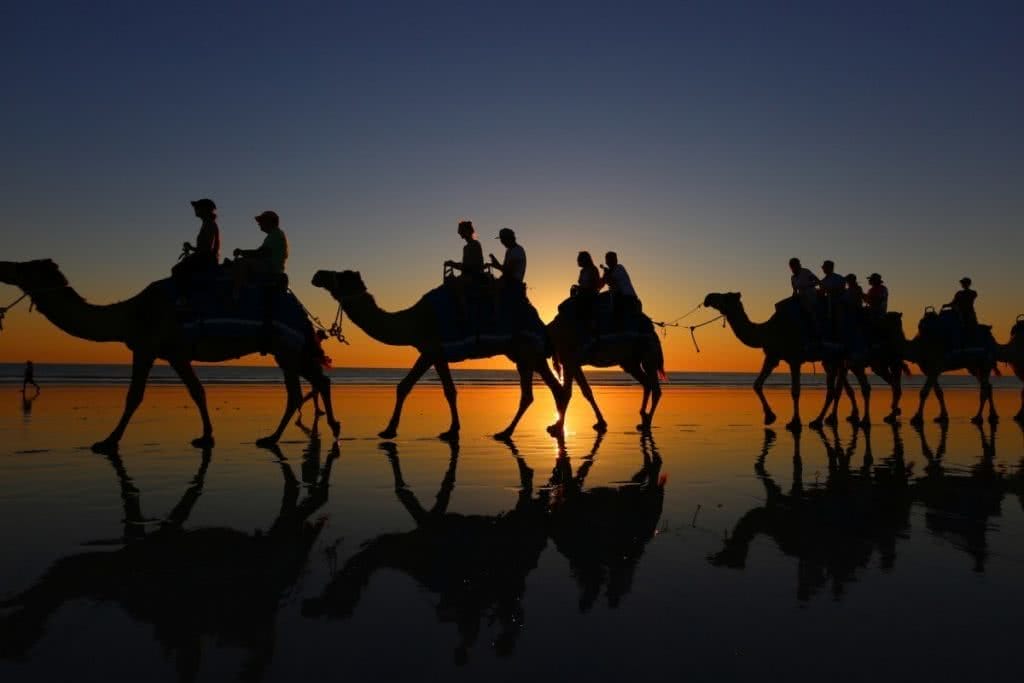 The Pearl of the North West // Broome (WA), Zoe Vaughan, camels, animal, ride, sunset, silhouette, reflections. wet sand, legs, convoy, train