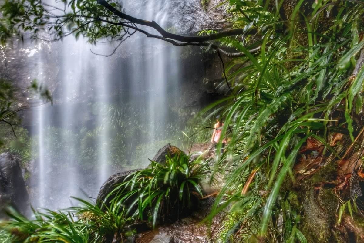 Gold Coast View Warrie Circuit Lisa Owen