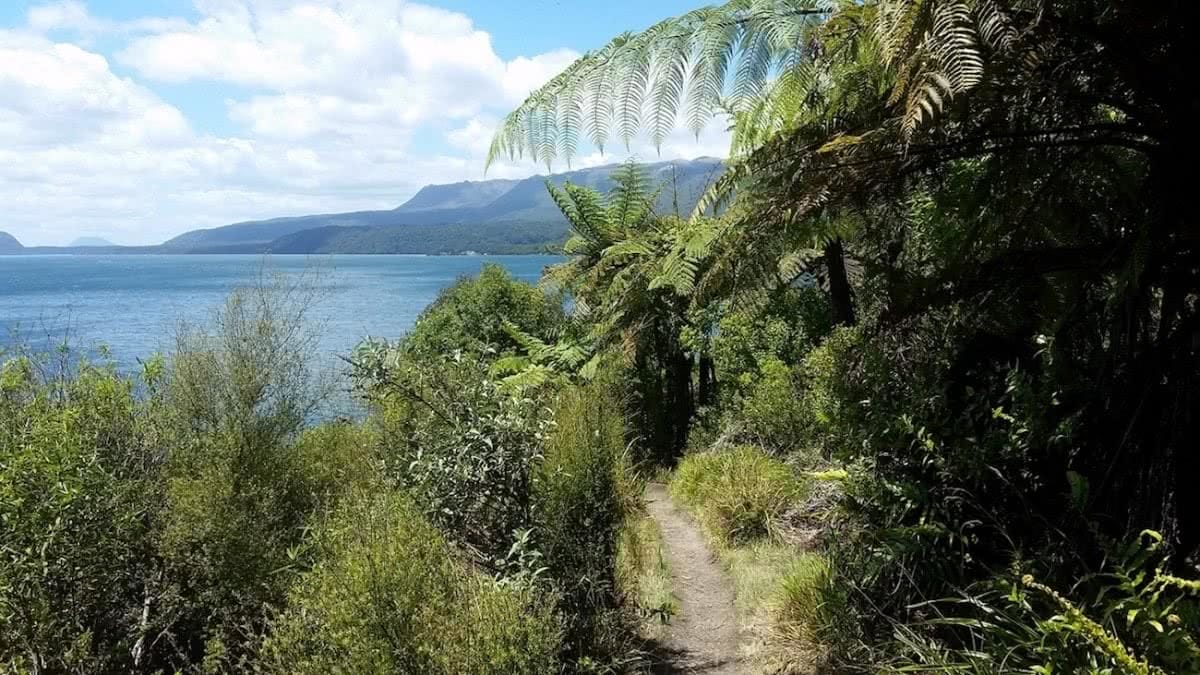 Tarawera Trail brooke nolan new zealand nz lake trail