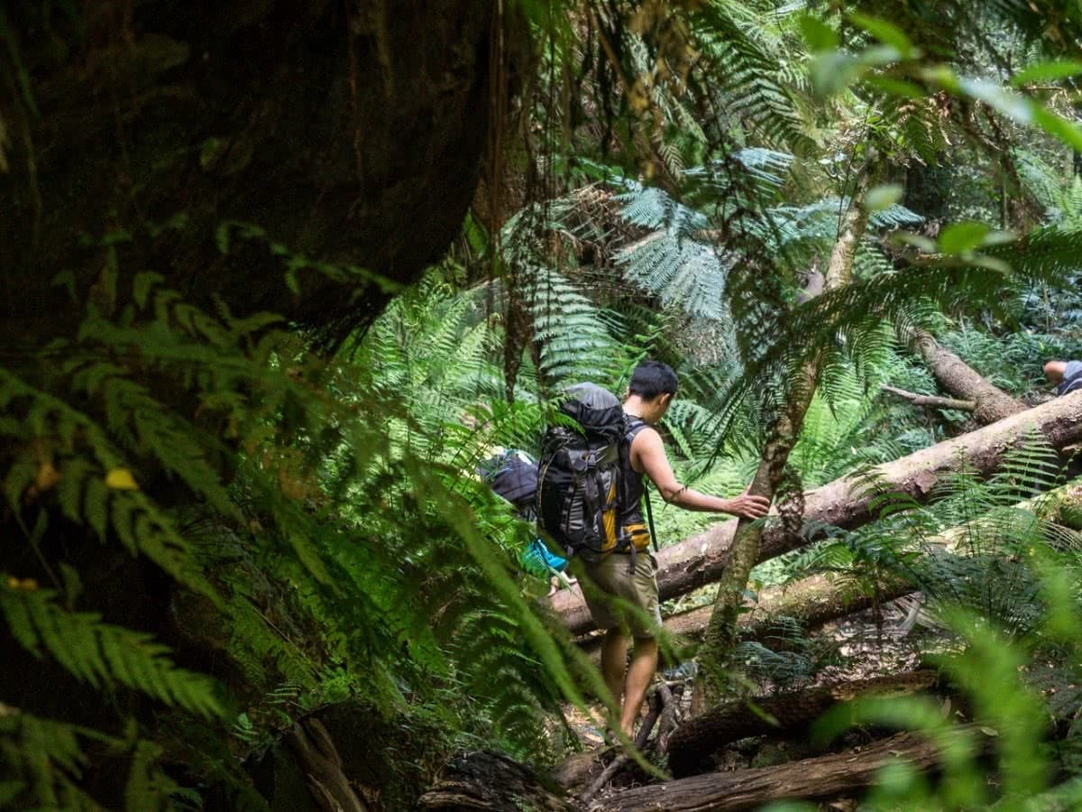Lower Bowens Creek North canyoning Jame Stuart blue mountains