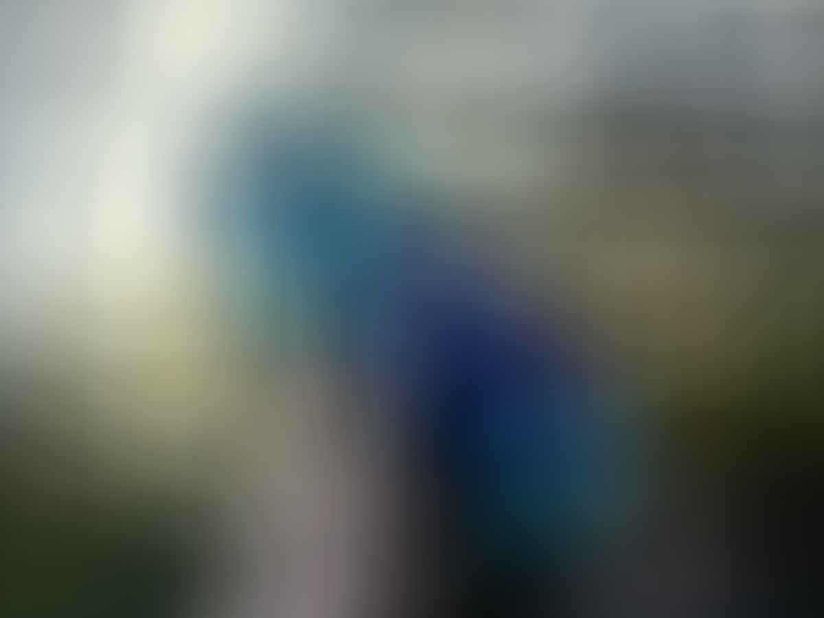 Water bottle, camelbak, chute, patagonia, sunlight