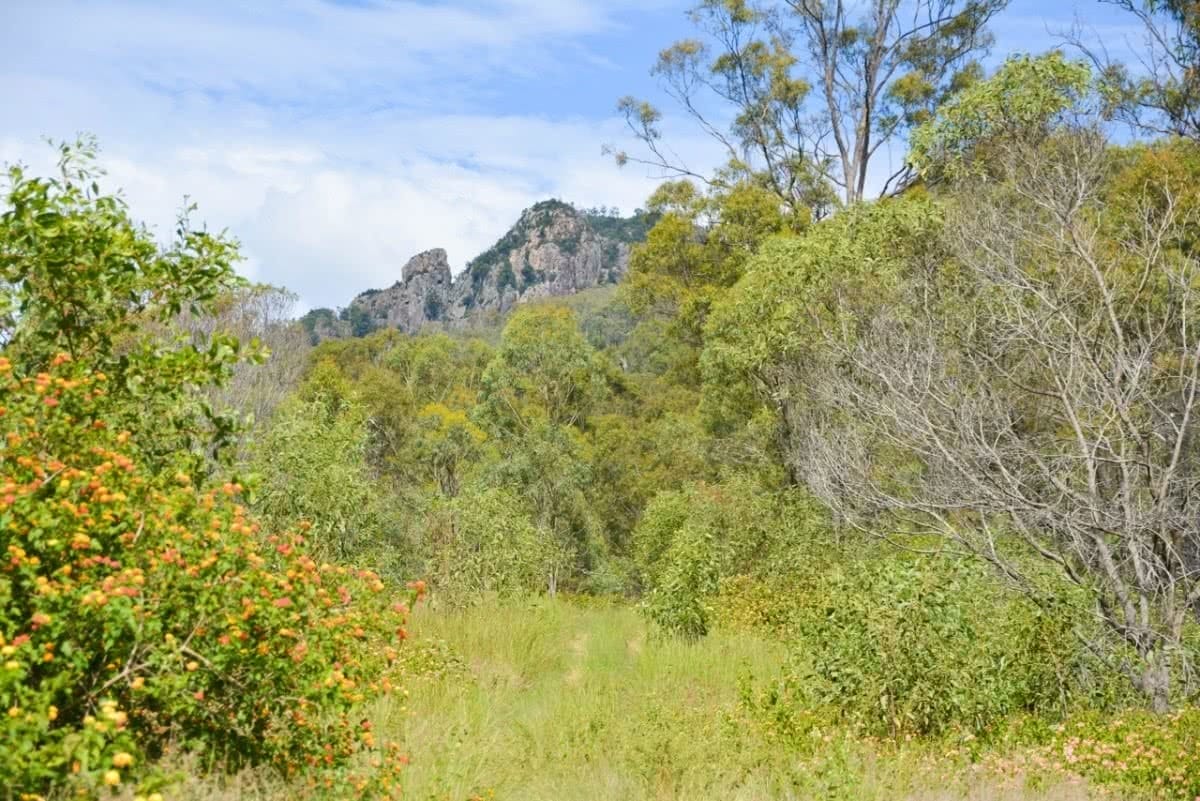Peaking Hard // Hike to Flinders Peak (QLD) Lisa Owen, Flinders Peak, Queensland, distance, mountain,