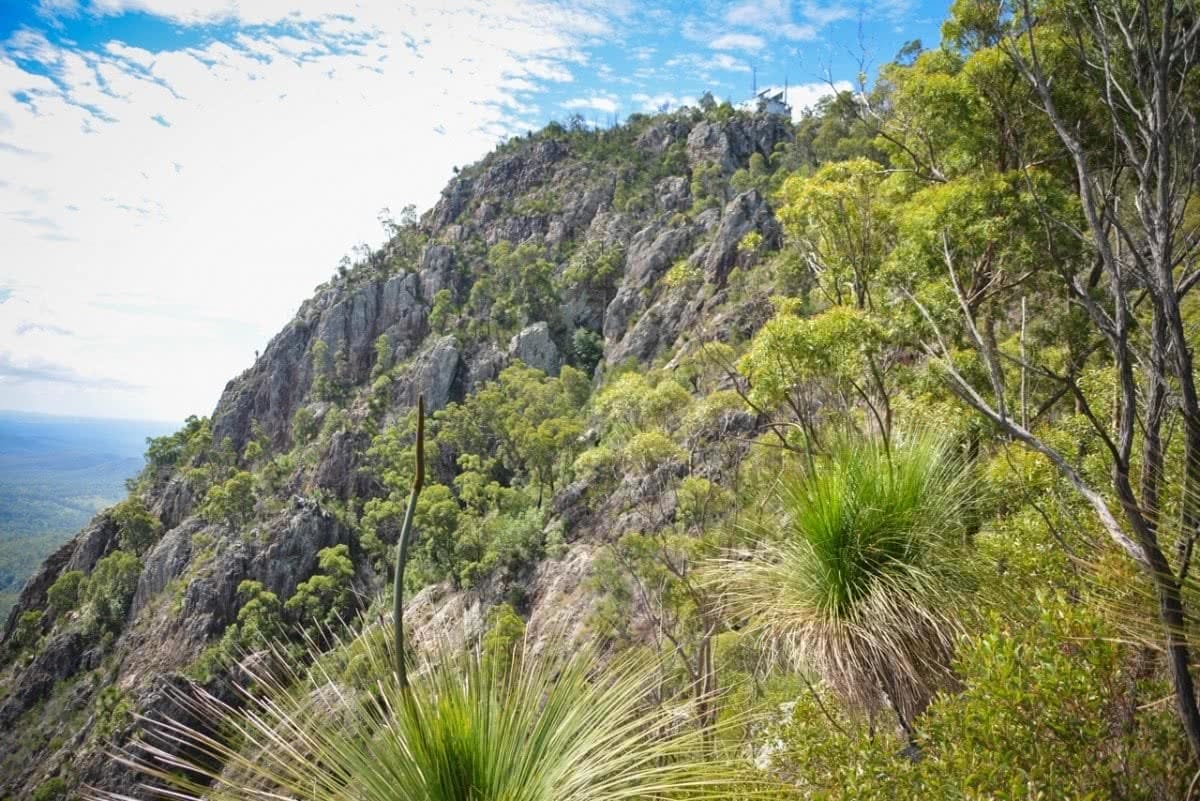 Peaking Hard // Hike to Flinders Peak (QLD) Lisa Owen, Flinders Peak, Queensland, rocky, cliffs, escarpment