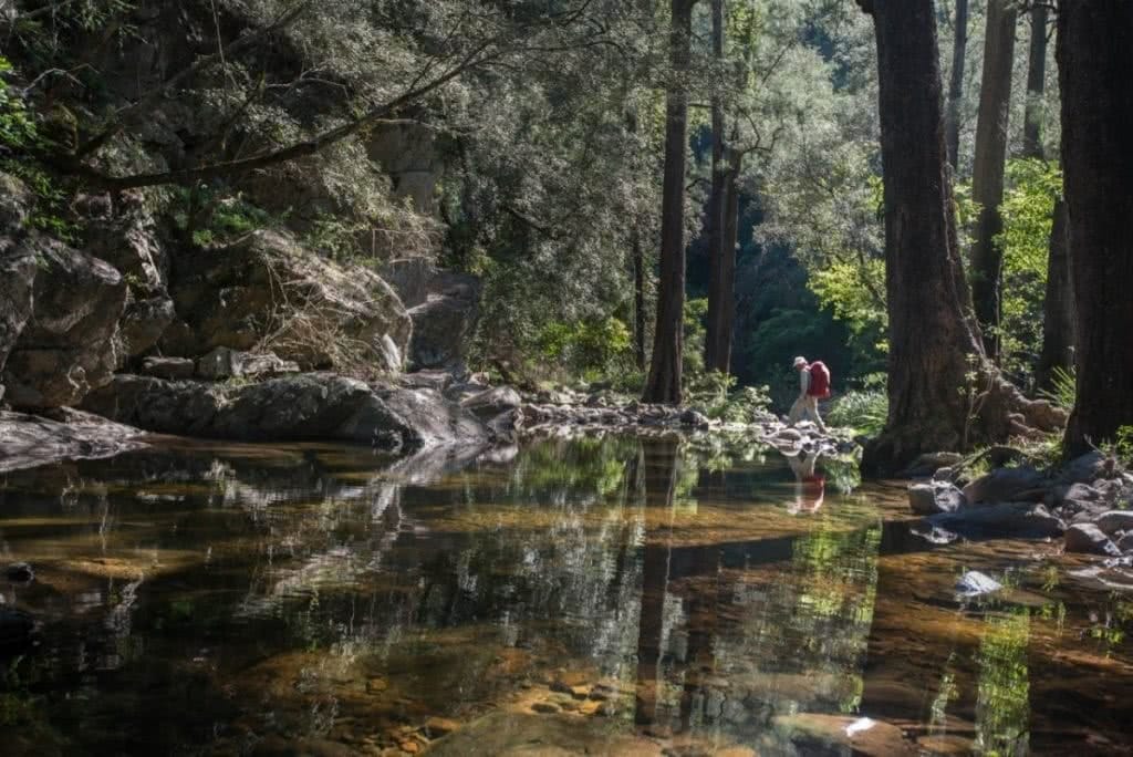 Morgan Cardiff, Blue Mountains, NSW, Coxs River, hiking, river, crossing, Tarros Ladder