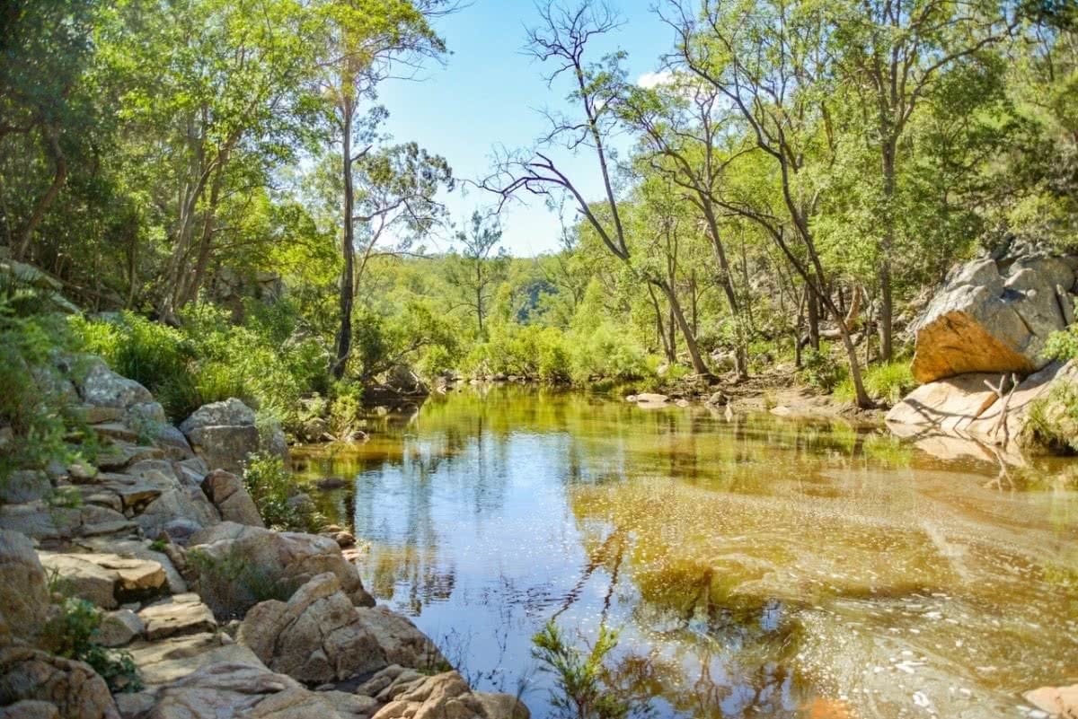 crows nest national park Lisa Owen QLD Bottlebrush Pool