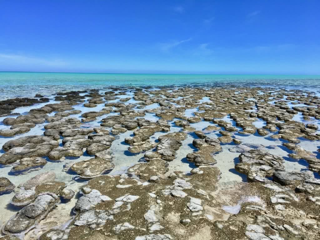 Henkjan Schrijver Western Australia WA Roadtrip Shark Bay Pinnacles Desert Beach